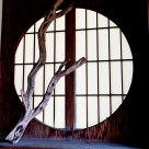 Round window