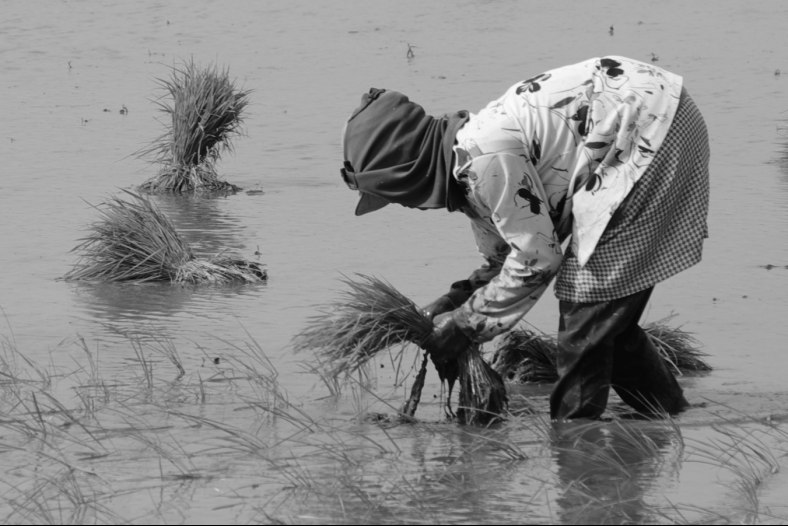 Backbreaking Work