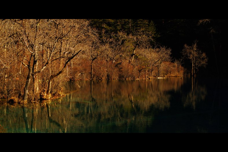 Mirror Image