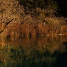 Mirror Image