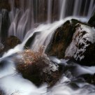 Stream
