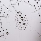 Watery Jewels