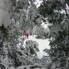 winter has come