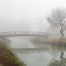 Niebla