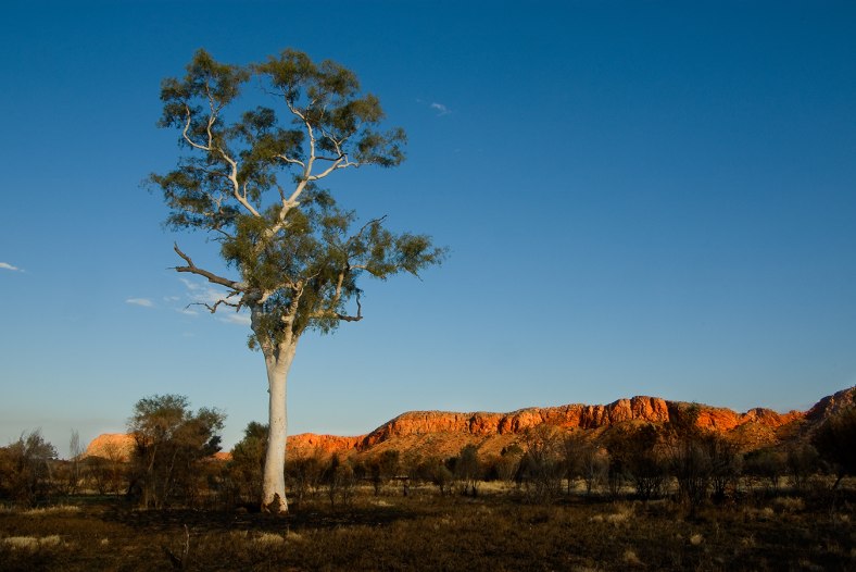 Last Light in the West Macs