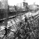 Morla - Neglected water 2