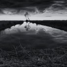 The reflection at the end