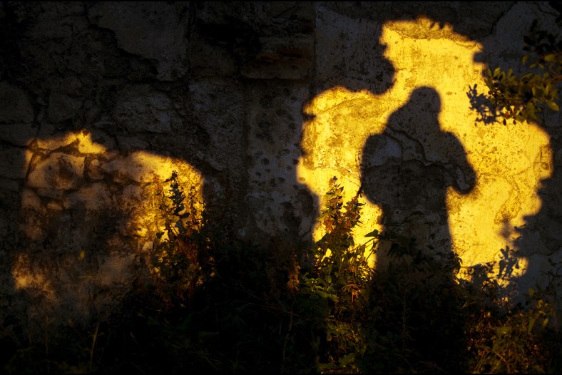 Shadows
