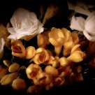 Cut flowers 5