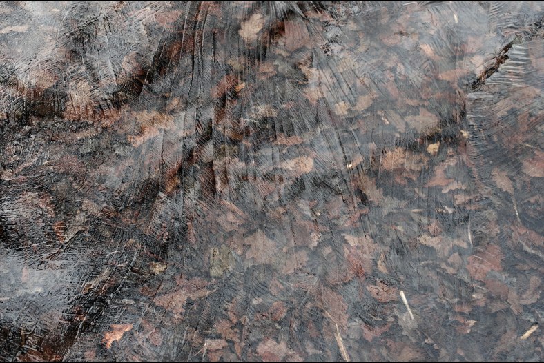 Ice and Oak