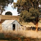 The Stockyard