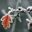 Gennaio