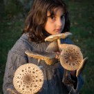 Collecting Mushrooms