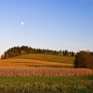 Harvest Moon