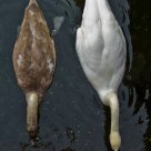 Mother and daughter