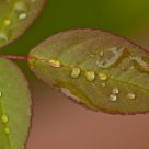 Tarde de lluvia