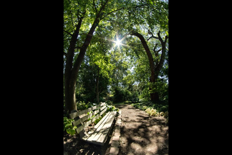 Walk In The Park