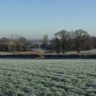 Winter fields