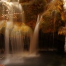 Stream
