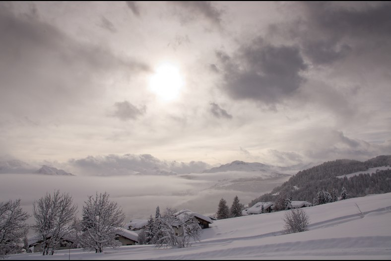 Winterwonderland