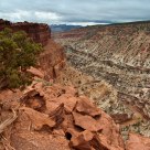 Goosenecks Overlook