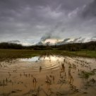 Puddle