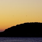 El islote