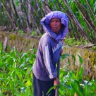 Lake Toba villagers  