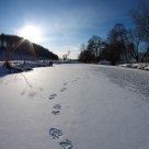 Trace on the water