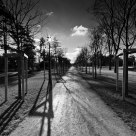 Alley in a sunny day