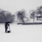 Summer Palace 