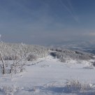 -10