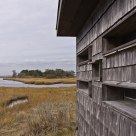Bird Blind