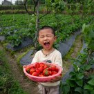 The joy of harvest