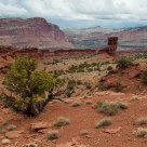Goosenecks Overlook III