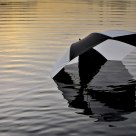 Umbrella