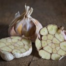 Garlic and Snail