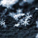 snow