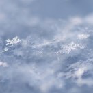 snow