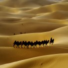 Caravan