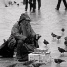 Despite the cold