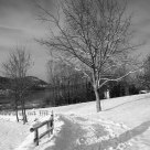 Walk in the snow