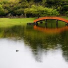 Japanese Garden in Rain