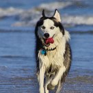 Running