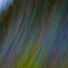 Nature in motion (snow, moss, heather)