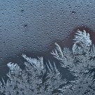 Window decoration