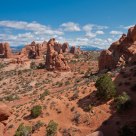 Arid Desert