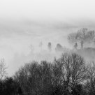 the fog