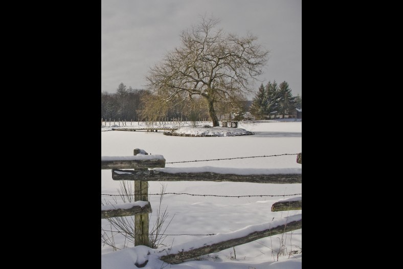 Frozen Lake
