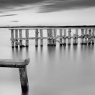 Torii